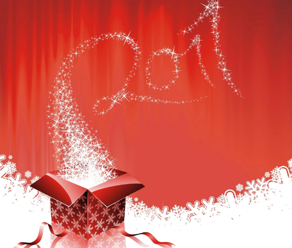 gift2011