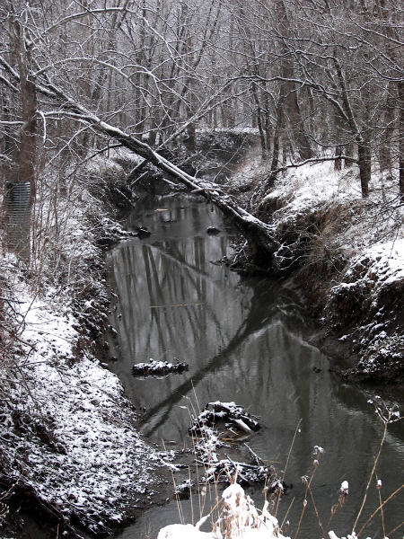 snow2011five