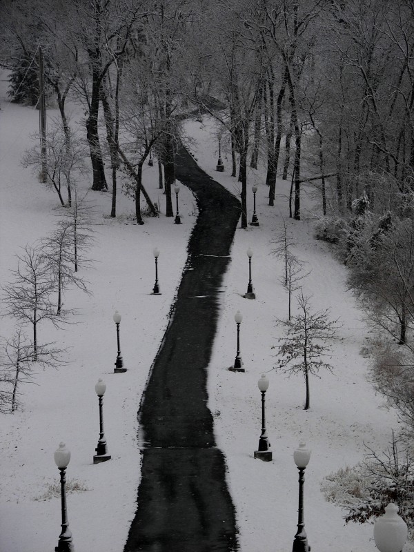 snow2011seven