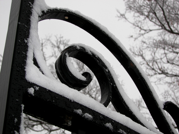snow2011three