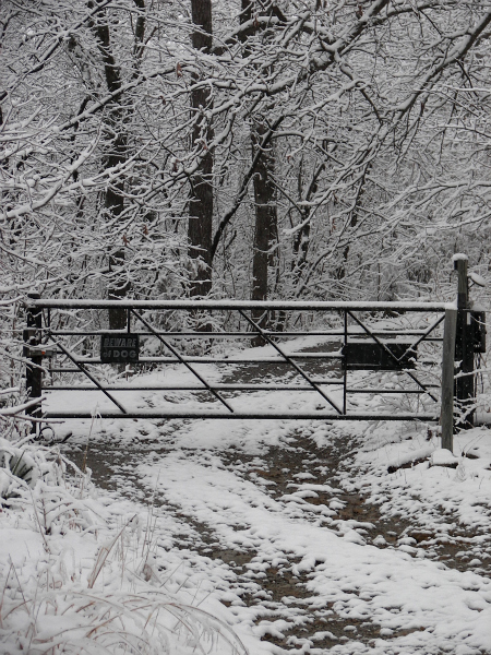 snow2011two