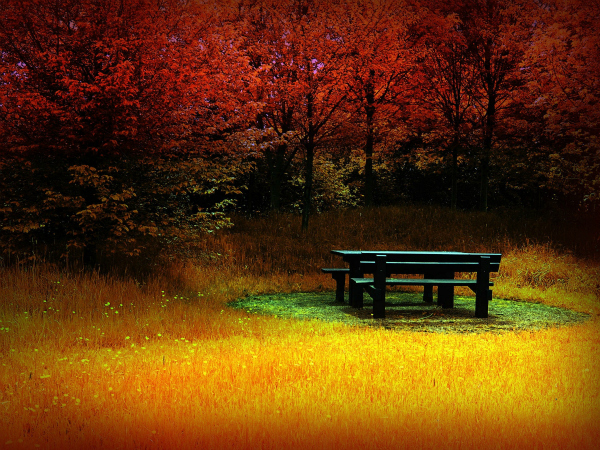 free-tranquility-of-autumn-wallpaper