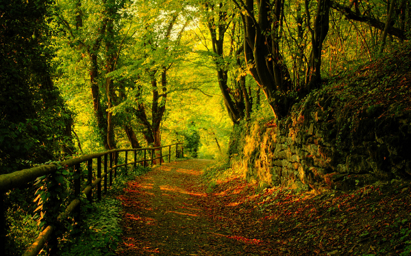 autumn_widescreen