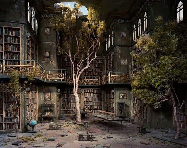 tree-growing-in-old-library