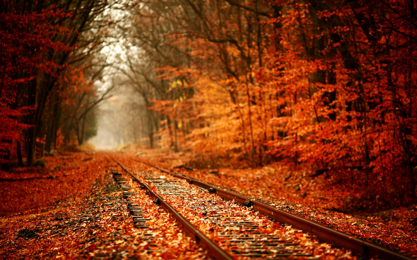 railway-autumn22