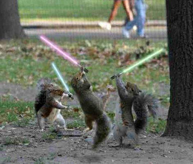 squirrels-with-lightsabers