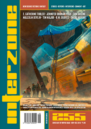 waynehsmallinterzone