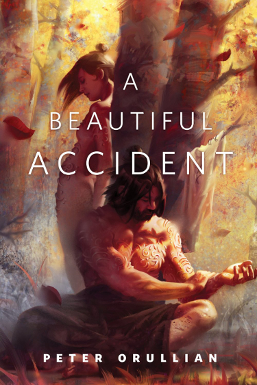 beautifulaccidentcover