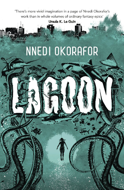 lagooncovercenter